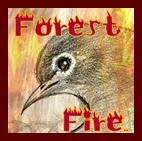Forest Fire